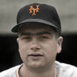 Joey Amalfitano