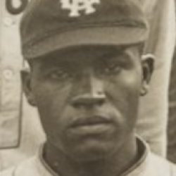 Webster McDonald